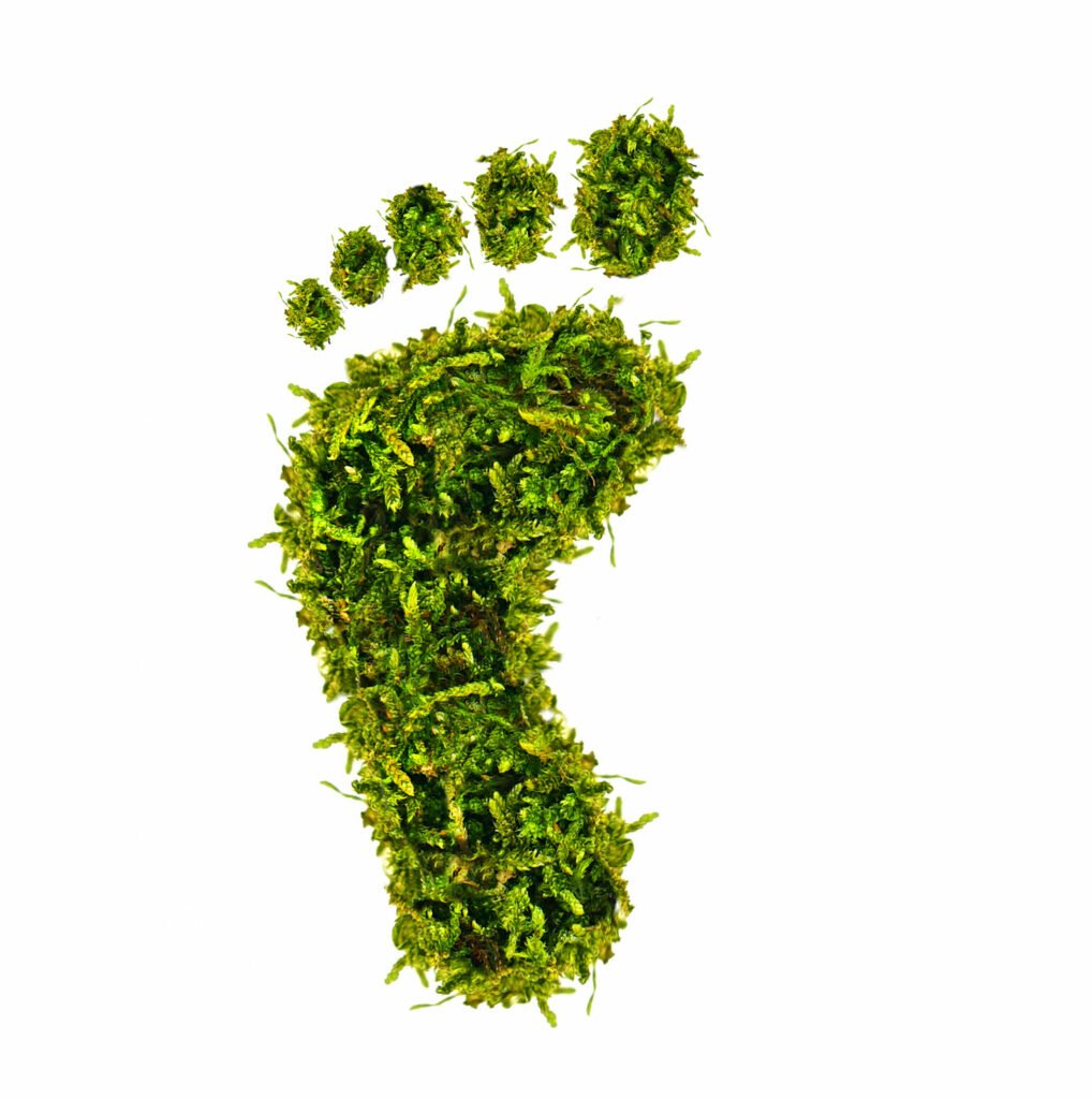 Ostangler Brandgilde und Greensurance übernehmen „grün versichert“